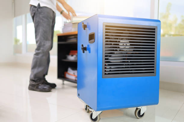 Trusted Guernsey, WY Mold Removal Experts